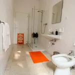 Rent a room in Bologna