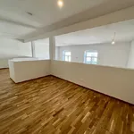 Miete 1 Schlafzimmer wohnung von 95 m² in Vienna