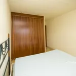 Rent 2 bedroom apartment of 65 m² in madrid