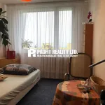 Rent 12 bedroom house in Prague