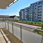 Rent 2 bedroom apartment of 52 m² in České Budějovice