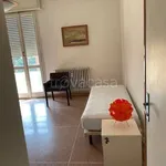 Rent 4 bedroom apartment of 120 m² in Bologna