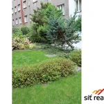 Rent 1 bedroom apartment of 34 m² in Prague