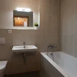 Rent 1 bedroom apartment in Capital City of Prague