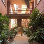 Rent 1 bedroom apartment of 65 m² in Barcelona