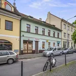 Rent 3 bedroom apartment of 45 m² in Praha