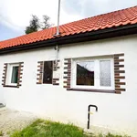 Rent 1 bedroom house of 80 m² in Bojkovice