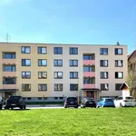 Rent 1 bedroom apartment in Uherské Hradiště