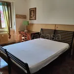 Rent 2 bedroom apartment of 40 m² in Milano