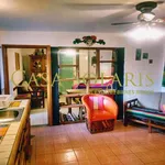 Rent 1 bedroom apartment in Guanajuato