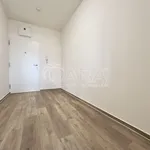 Rent 1 bedroom apartment in Brno