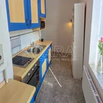 Rent 1 bedroom apartment of 37 m² in Králův Dvůr