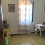 Rent 2 bedroom apartment of 50 m² in Velletri