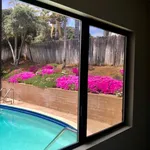 Rent 1 bedroom apartment in Santee