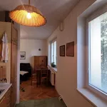 Rent 3 bedroom apartment in Pardubice