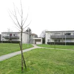 Rent 3 bedroom apartment of 6168 m² in Mérignac