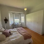 Rent 4 bedroom house in  Armidale NSW 2350                        