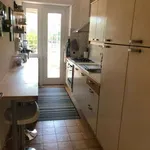 Rent 2 bedroom apartment of 80 m² in Rome