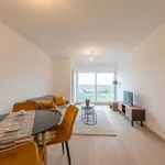 Rent 1 bedroom apartment in Heist-aan-Zee