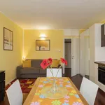 Rent 1 bedroom apartment of 45 m² in Milan