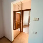 Rent 2 bedroom apartment of 70 m² in Verona