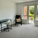 Rent 4 bedroom house in South West England