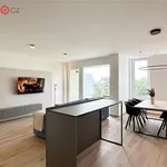 Rent 4 bedroom apartment of 118 m² in Brno-střed