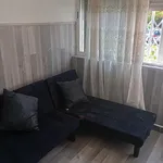 Rent 3 bedroom apartment of 80 m² in Seville