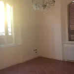 Rent 8 bedroom house of 180 m² in Pisa