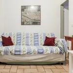 Rent 2 bedroom apartment in Florence