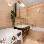 Rent 3 bedroom apartment in Liberec