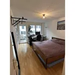 Rent 2 bedroom apartment in Zurich