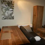 Rent 1 bedroom apartment in Schaarbeek