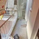 Rent 1 bedroom apartment of 30 m² in Λόφος Σικελίας