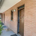 Rent 3 bedroom apartment of 77 m² in Candiolo