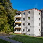 Rent 3 bedroom apartment of 64 m² in Siegen