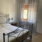 Rent 4 bedroom apartment of 100 m² in Monopoli