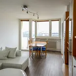 Rent 2 bedroom apartment of 49 m² in Munich