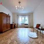 Rent 2 bedroom apartment of 80 m² in České Budějovice