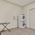 Rent 1 bedroom apartment of 31 m² in Zuidwal