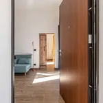 Rent 4 bedroom apartment in Palermo