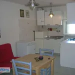 Rent 3 bedroom apartment of 50 m² in Ancona