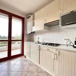 Rent 3 bedroom apartment of 70 m² in Cavallino-Treporti