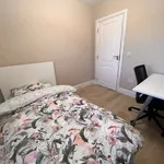 Rent a room in dublin