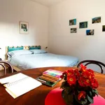 Rent a room in bologna