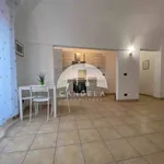 Rent 1 bedroom apartment of 35 m² in Mondovì