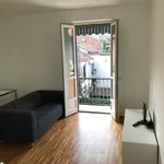 Rent 1 bedroom apartment of 45 m² in Turin