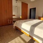 Rent 2 bedroom apartment of 50 m² in Cologno Monzese