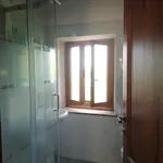 Rent 3 bedroom apartment in Firenze