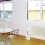 Rent 1 bedroom apartment of 26 m² in Graz